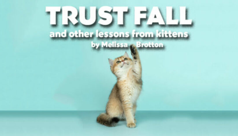 trustfall
