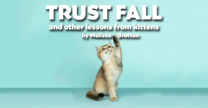 trustfall trustfall
