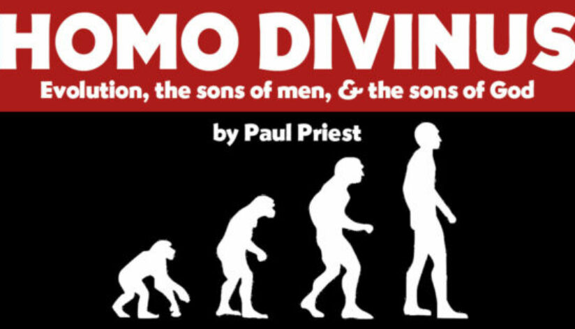 hominids