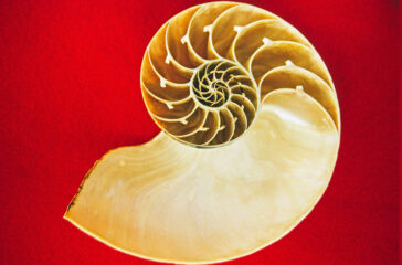 creencia_