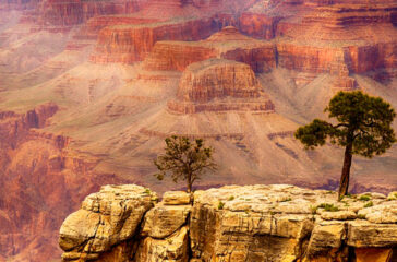 cañon_