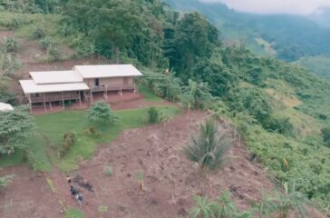 06.30.25 The Jungle School