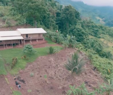 06.30.25 The Jungle School