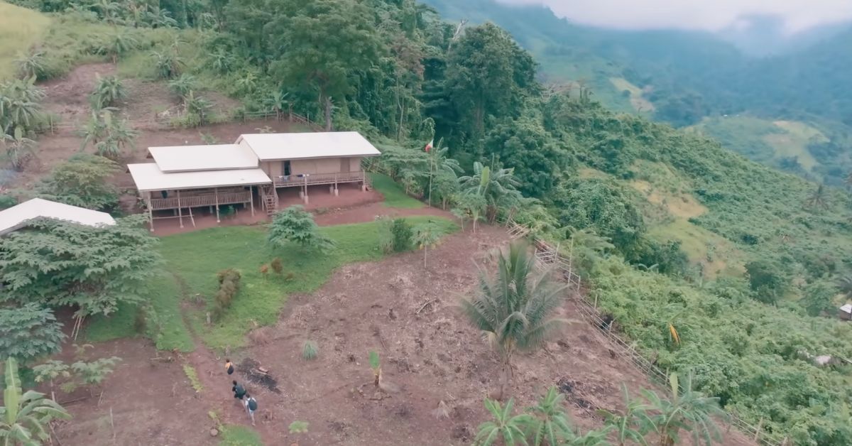 AdventInnovate: The Jungle School